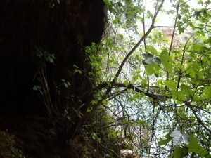 salida campo