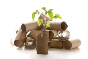 Como hacer semilleros biodegradables