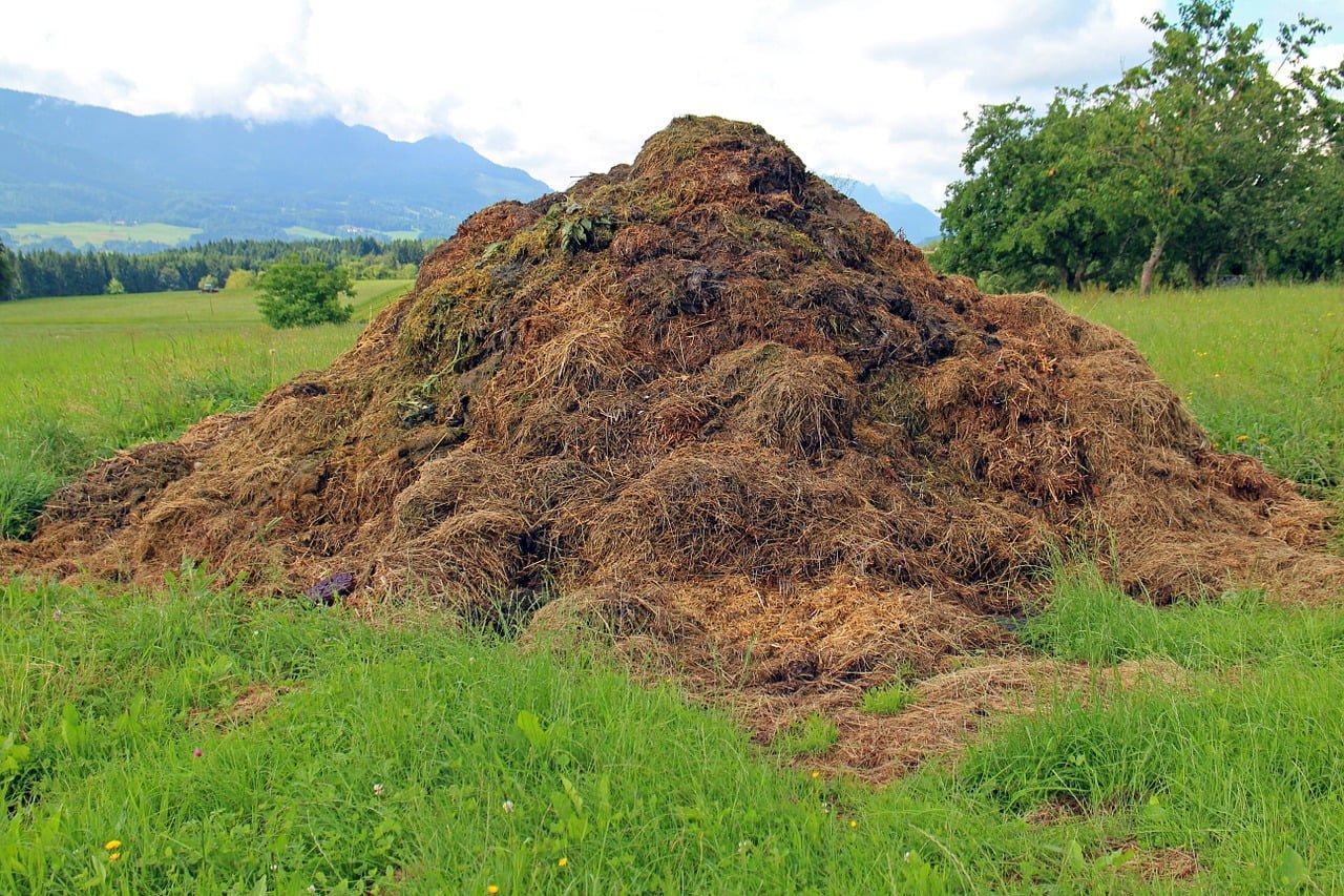 Convierte tu basura orgánica en compost