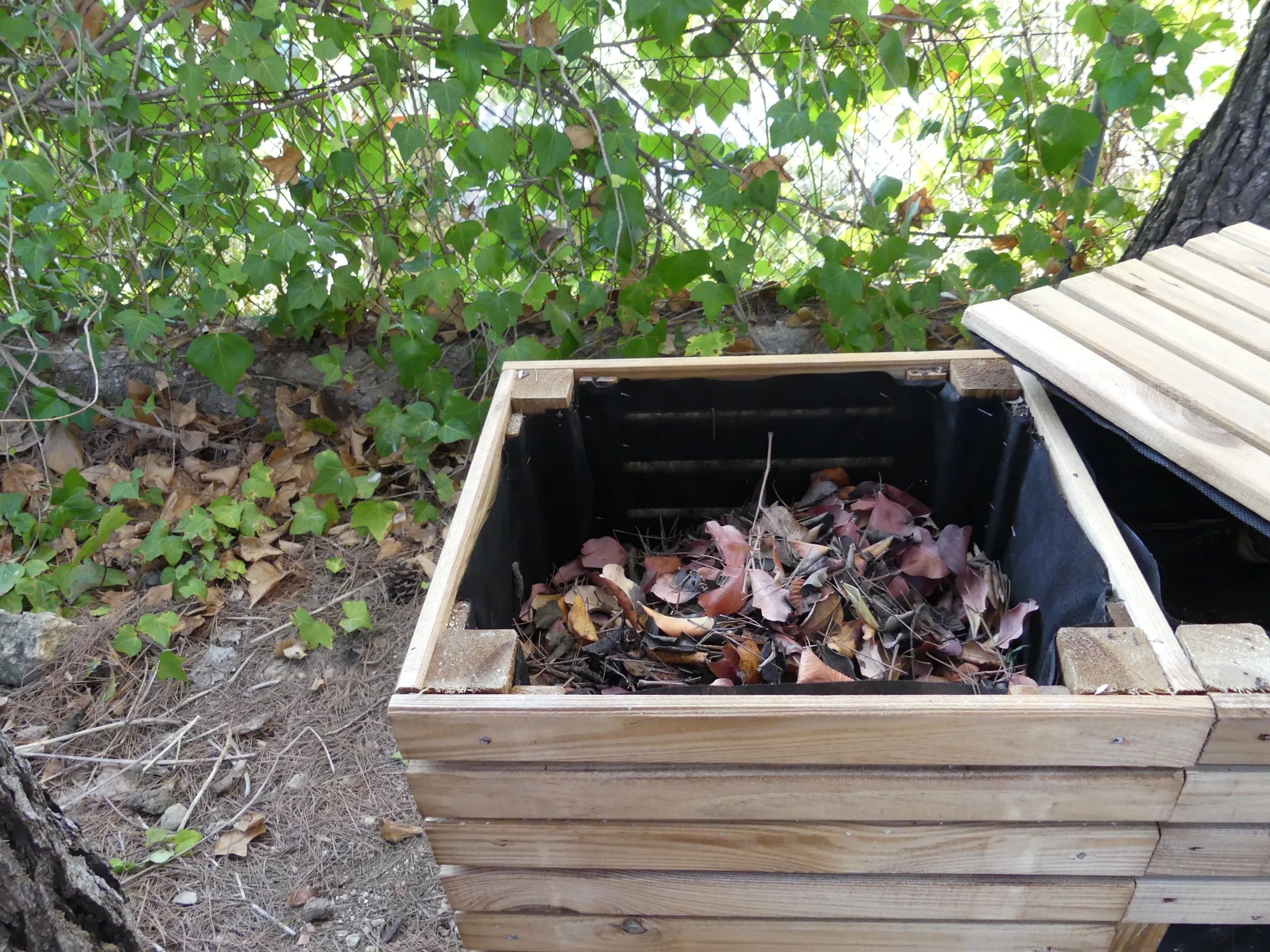 5 Consejos para Hacer Compost