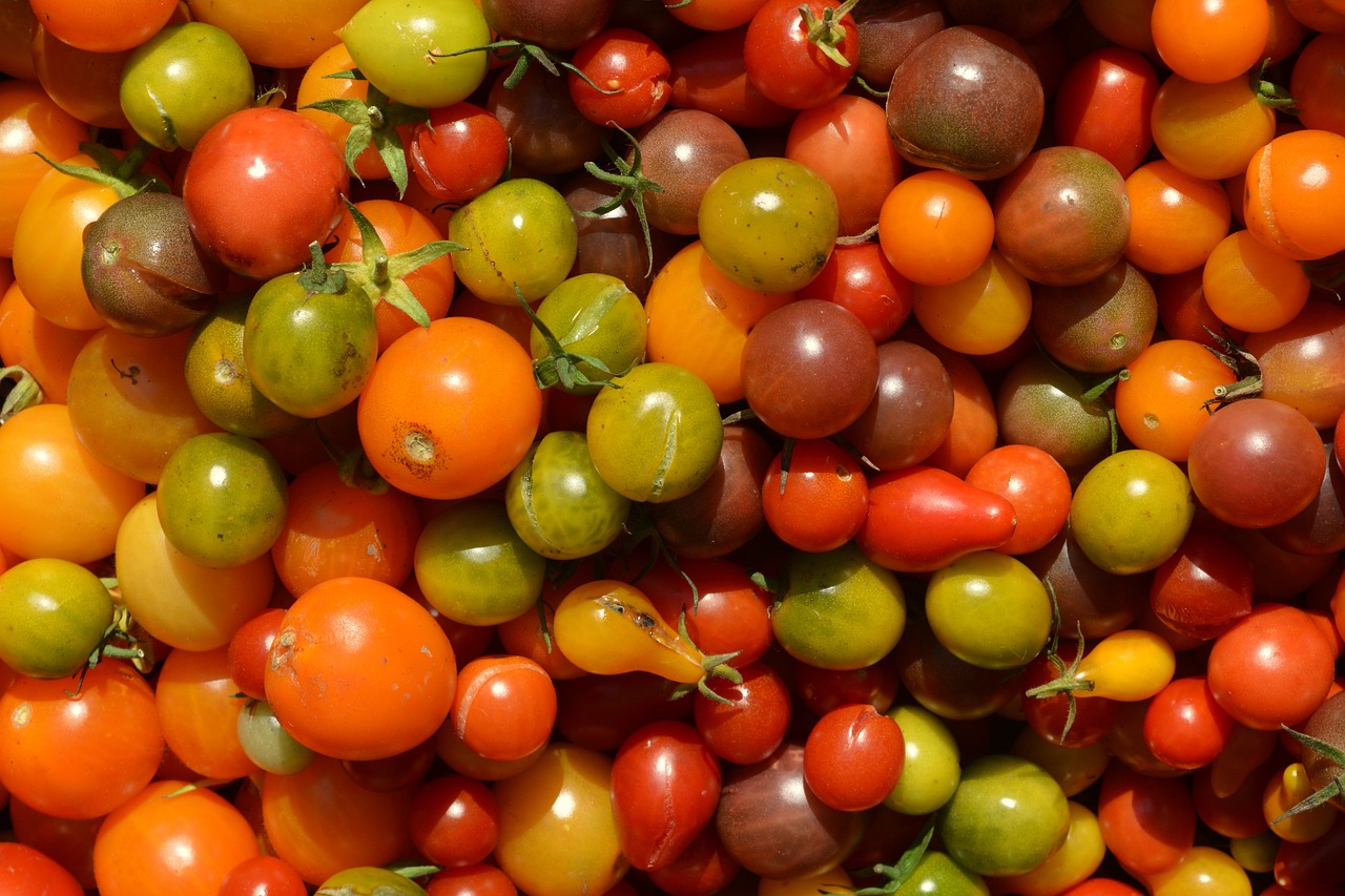 Guia de cultivo del tomate cherry